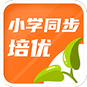 穆迪談帶傷作戰：如果知道是撕裂可能休戰 但當時在為季後賽而戰